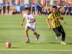 赛地聚焦：足总杯窗口期热度飙升，尼斯调整名单，质疑声仍在，数据趋势出现新变化(足总杯巨大争议)